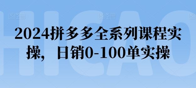 2024拼多多全系列课程实操，日销0-100单实操【必看】-51云资源