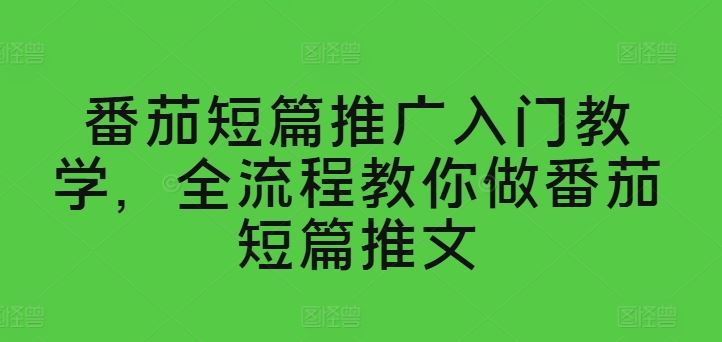 番茄短篇推广入门教学,全流程教你做番茄短篇推文-51云资源