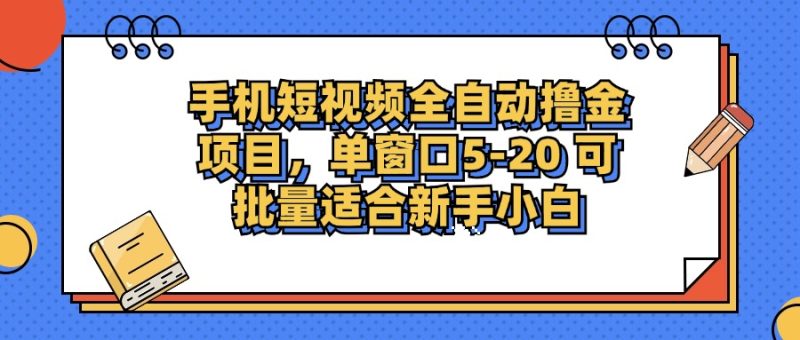 (12898期)手机短视频掘金项目,单窗口单平台5-20 可批量适合新手小白-51云资源