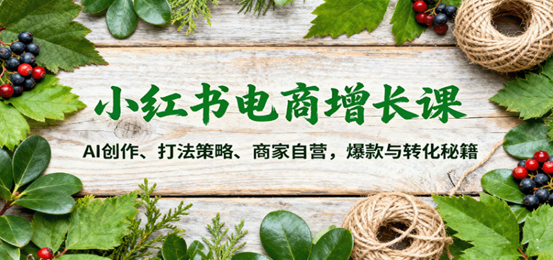 小红书电商增长课:AI创作、打法策略、商家自营,爆款与转化秘籍-51云资源
