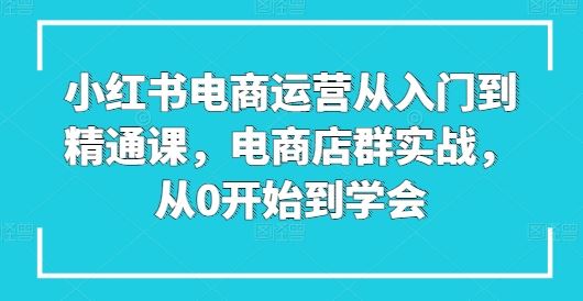 小红书电商运营从入门到精通课,电商店群实战,从0开始到学会-51云资源