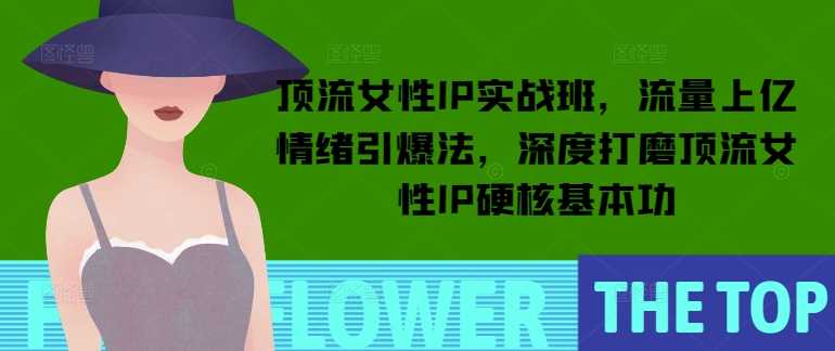 顶流女性IP实战班，流量上亿情绪引爆法，深度打磨顶流女性IP硬核基本功-51云资源