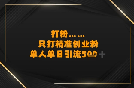 打粉只打精准创业粉，单人单日引流500-51云资源