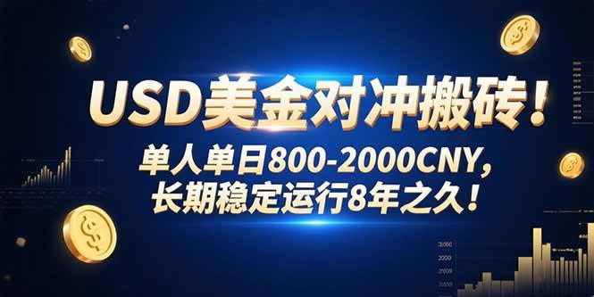 （15551期）USD美金对冲搬砖!单人单日800-2000CNY，长期稳定运行8年之久!-51云资源