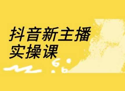 抖音新主播实操课，直播间流量运营线上实操课(18节)-51云资源