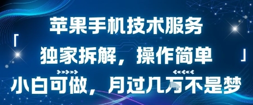 苹果手机技术服务，独家拆解，操作简单，小白可做，月过1W不是梦-51云资源