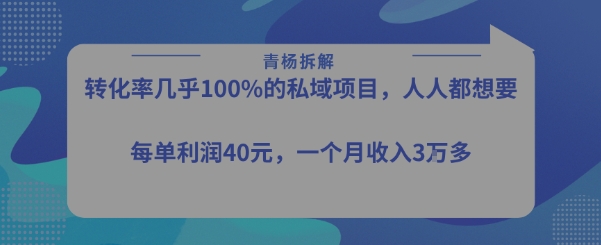 转化率最高的私域项目，每单利润40-50米，月入过1w-51云资源