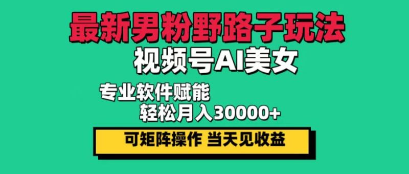 (12909期)最新男粉野路子玩法,视频号AI美女,当天见收益,轻松月入30000+-51云资源