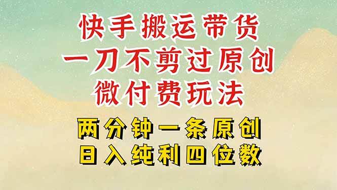 (15577期)快手黑科技搬运带货,一刀不剪过原创,微付费投流玩法,轻松日入四位数…-51云资源