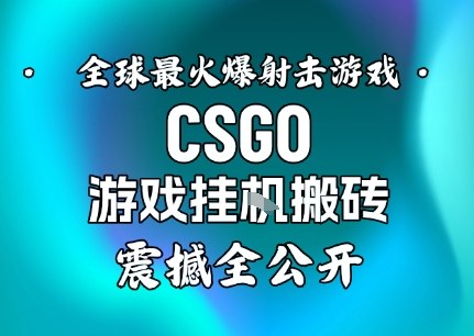 【年底大揭秘】基于全球最火爆的射击CSGO游戏挂G搬砖，日入5张 ，震撼公开-51云资源