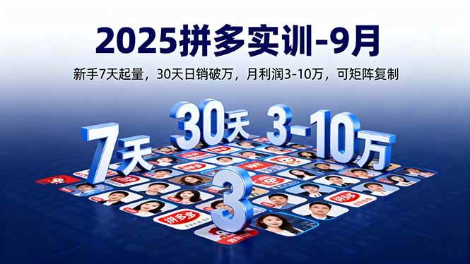 （16008期）2025拼多多实训-9月：新手7天起量,30天日销破万,月利润3-10万,可矩阵复制-51云资源