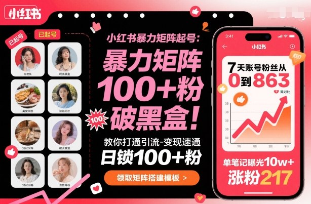 小红书暴力矩阵起号,教你打通引流-变现速通,日锁100 粉,破流量黑盒