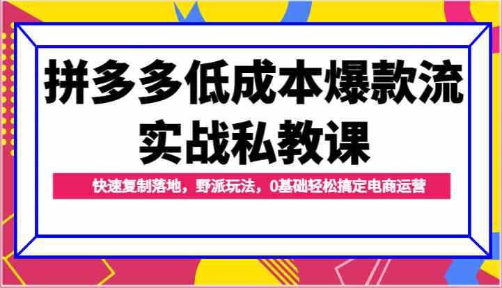 拼多多低成本爆款流实战私教课，快速复制落地，野派玩法，0基础轻松搞定电商运营-51云资源