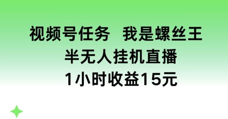视频号任务，我是螺丝王， 半无人挂机1小时收益15元【揭秘】-51云资源