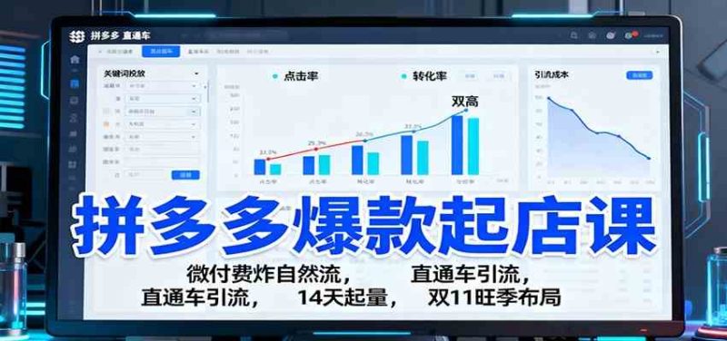 拼多多爆款起店课：微付费炸自然流，直通车引流，14天起量，双11旺季布局-51云资源