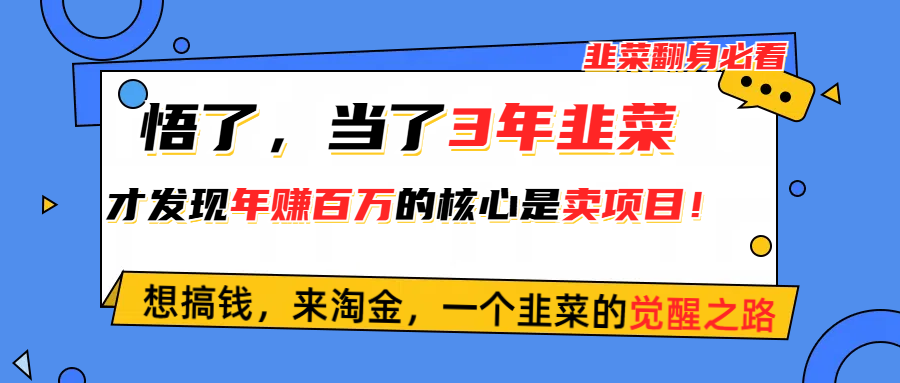 (10759期)悟了,当了3年韭菜,才发现网创圈年赚100万的核心是卖项目,含泪分享!