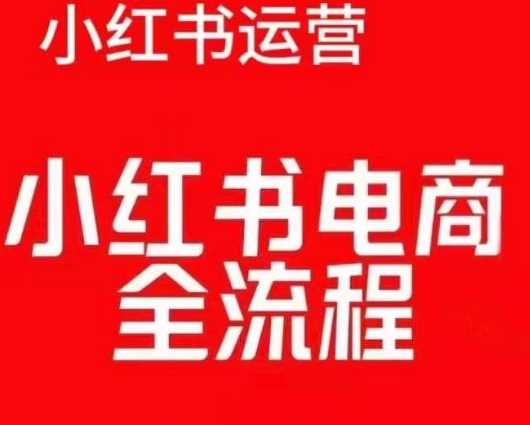 红薯电商实操课,小红书电商全流程-51云资源