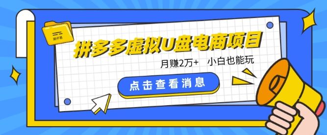 拼多多虚拟U盘电商红利项目：月赚2万 ，新手小白也能玩-51云资源
