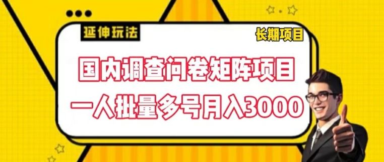 国内调查问卷矩阵项目，一人批量多号月入3000【揭秘】-51云资源