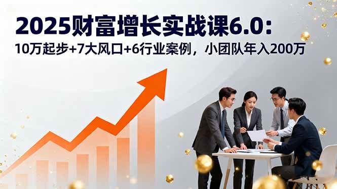 （16004期）2025财富增长实战课6.0：10万起步 7大风口 6行业案例，小团队年入200万-51云资源