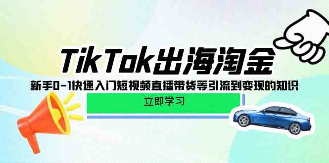 （10035期）TikTok-出海淘金，新手0-1快速入门短视频直播带货等引流到变现的知识-51云资源
