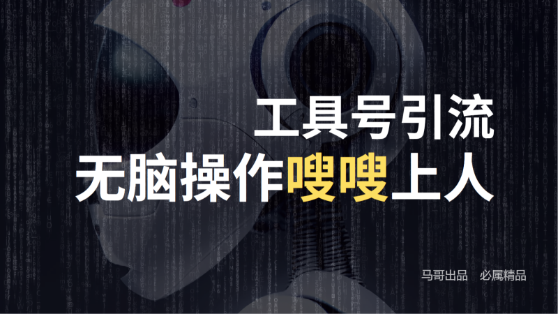 工具号高效引流法,嗖嗖上人,日引1000 ,直接搬运,无脑操作-51云资源