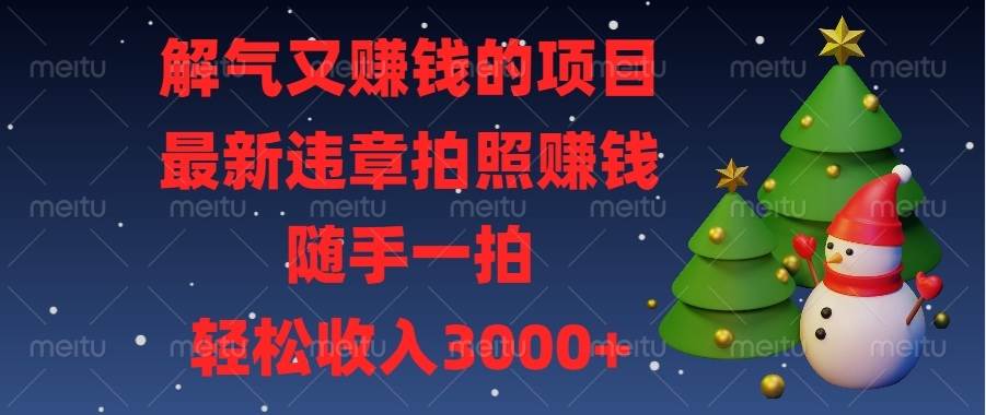 （13804期）解气又赚钱的项目，最新违章拍照赚钱，随手一拍，轻松收入3000-51云资源