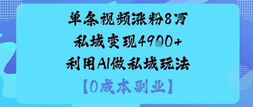 单条视频涨粉8W私域变现1k 利用AI做私域玩法-51云资源