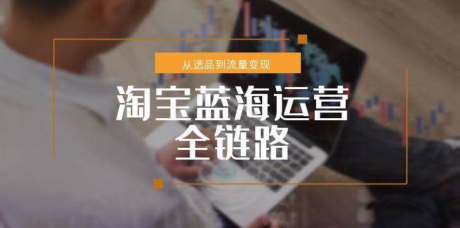 (15160期)淘宝蓝海运营全链路,从选品到流量变现,小类目突围完整方案