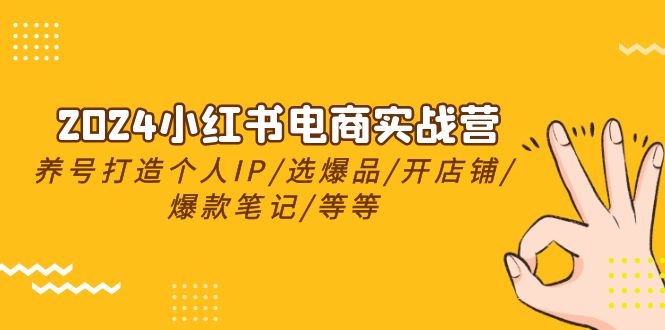 2024小红书电商实战营，养号打造IP/选爆品/开店铺/爆款笔记/等等（24节）-51云资源