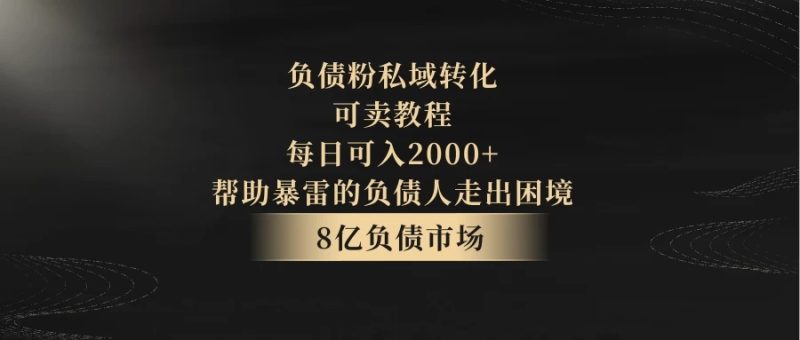 8亿负债市场,负债粉私域转化,可卖教程,每日可入2000 ,无需经验(包含资料)-51云资源