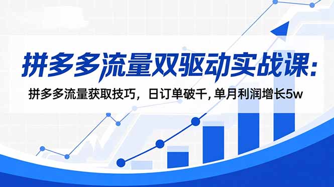 拼多多流量双驱动实战课:拼多多流量获取技巧,日订单破千,单月利润增长5w