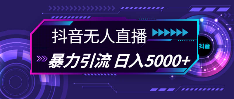 （11709期）抖音无人直播，暴利引流，日入5000-51云资源