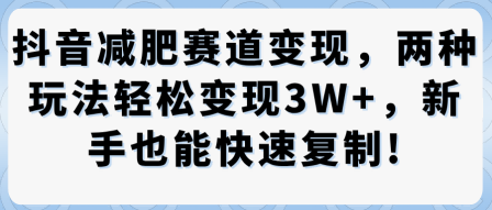 抖音减肥赛道变现,两种玩法轻松变现3W ,新手也能快速复制-51云资源
