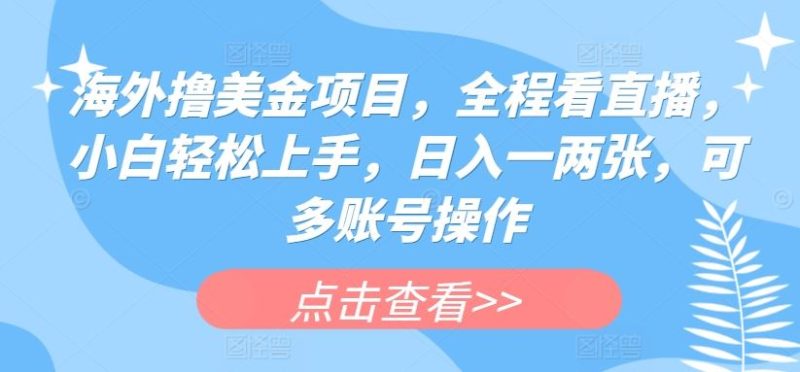 海外撸美金项目，全程看直播，小白轻松上手，日入一两张，可多账号操作【揭秘】-51云资源