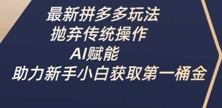 最新拼多多玩法，抛弃传统操作，AI赋能，助力新手小白获取第一桶金-51云资源