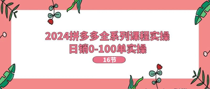 (11222期)2024拼多多全系列课程实操,日销0-100单实操【16节课】-51云资源
