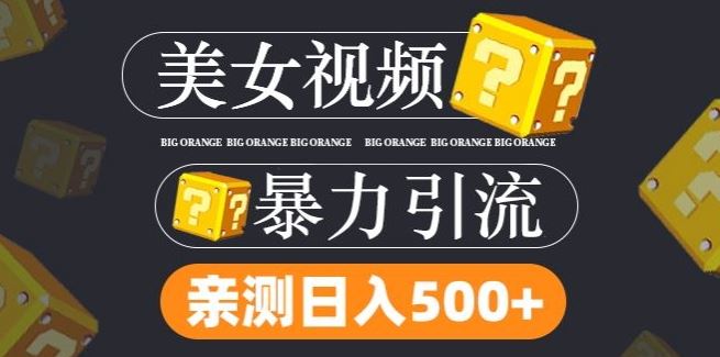 搬运tk美女视频全网分发，日引s粉300 ，轻松变现，不限流量不封号【揭秘】-51云资源