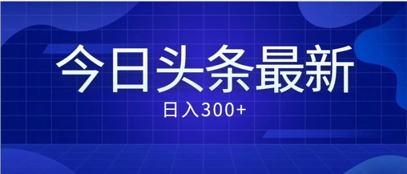 价值999的最新头条玩法，每天收入300-51云资源