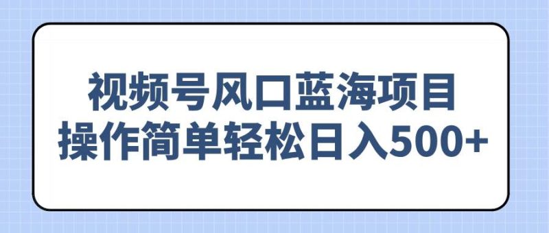 (14276期)视频号风口蓝海项目,操作简单轻松日入500-51云资源