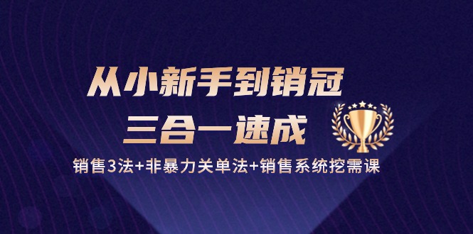 (10799期)从小新手到销冠 三合一速成:销售3法 非暴力关单法 销售系统挖需课 (27节)-51云资源