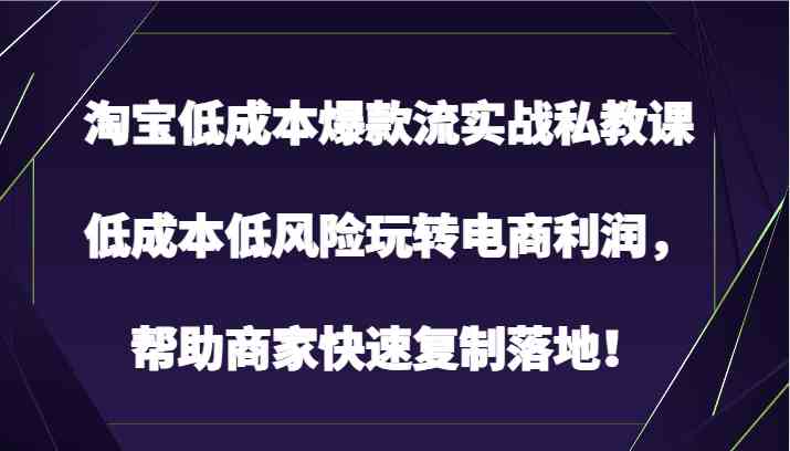 淘宝低成本爆款流实战私教课,低成本低风险玩转电商利润,帮助商家快速复制落地!-51云资源