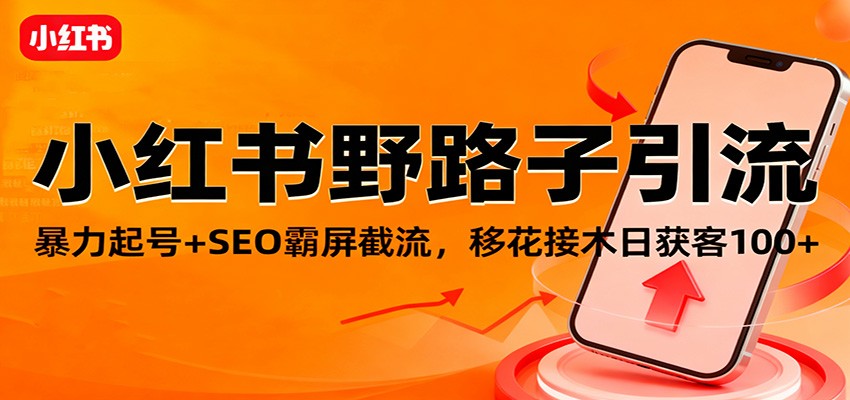 小红书野路子引流，暴力起号 SEO霸屏截流，移花接木日获客100 
