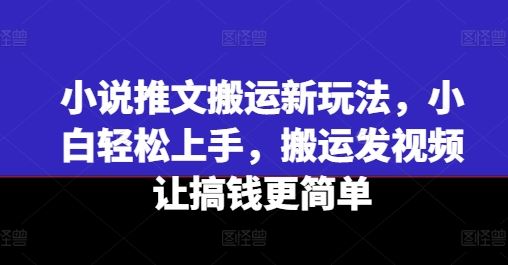 小说推文搬运新玩法，小白轻松上手，搬运发视频让搞钱更简单-51云资源