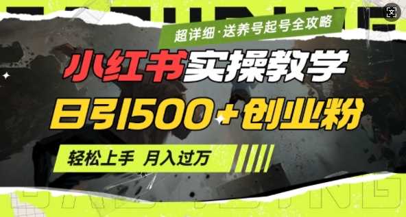 2月小红书最新日引500 创业粉实操教学【超详细】小白轻松上手,月入1W ,附小红书养号起号SOP