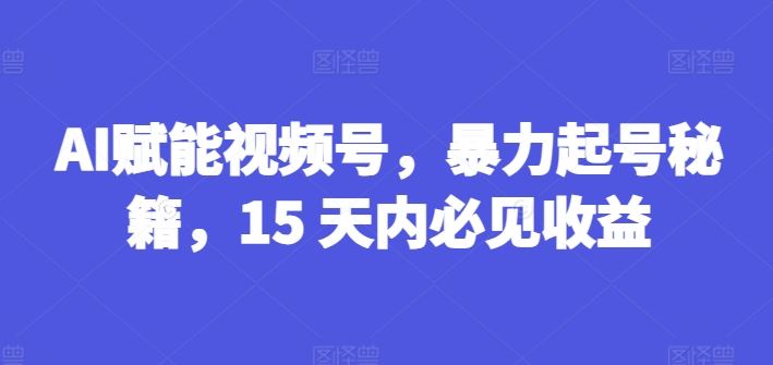 AI赋能视频号，暴力起号秘籍，15 天内必见收益【揭秘】-51云资源