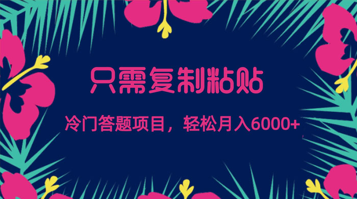 只需复制粘贴，冷门答题项目，轻松月入 6000-51云资源