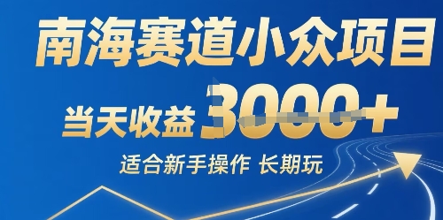 南海赛道小众项目，当天收益1k 适合新手操作可以长期玩-51云资源