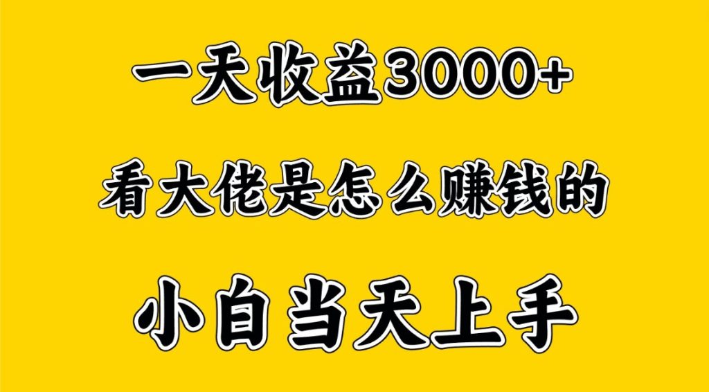 一天赚3000多，大佬是这样赚到钱的，小白当天上手，穷人翻身项目-51云资源