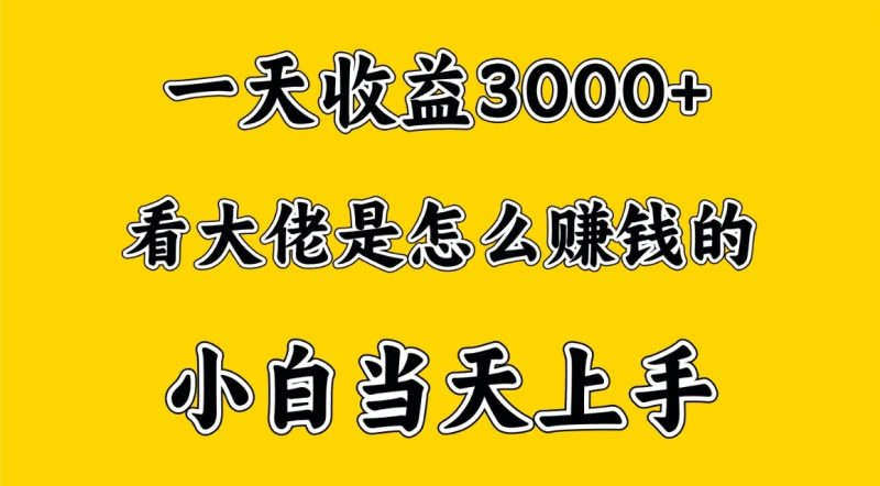 一天赚3000多,大佬是这样赚到钱的,小白当天上手,穷人翻身项目-51云资源